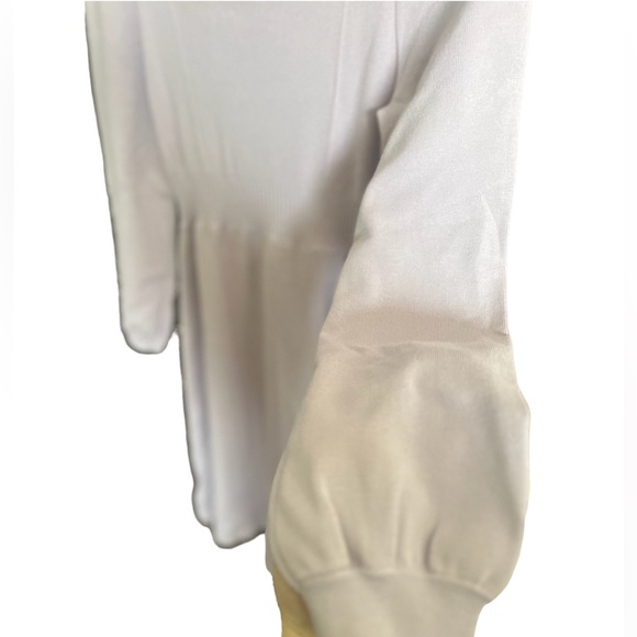 FSLE Balloon Sleeve Knit Dress - Picture 7 of 8